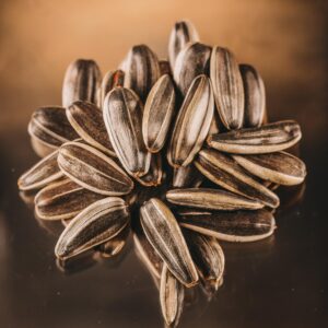Sunflower lecithin